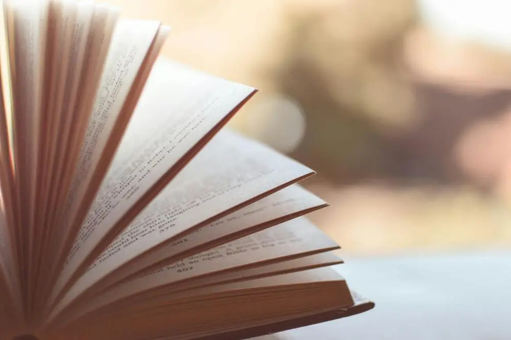 Editora de livro acadêmico: o que é, como publicar e qual é o seu papel?